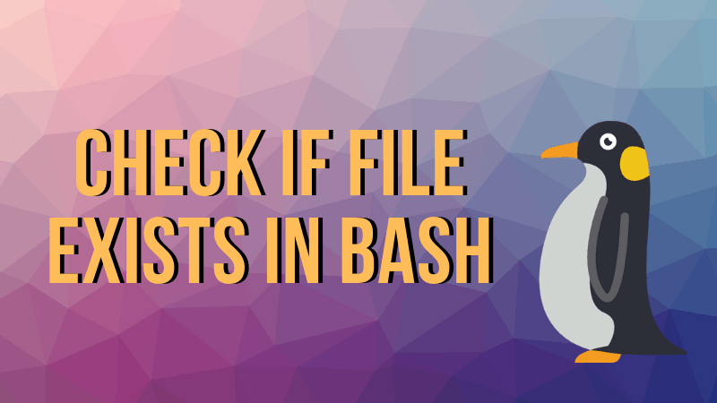 Check If File Exists In Bash