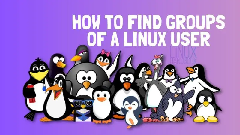 linux display groups for user