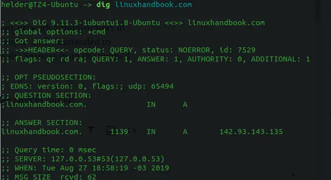 dig Command in Linux with Examples - GeeksforGeeks