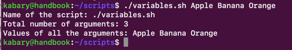 Using special variables in bash shell scripts