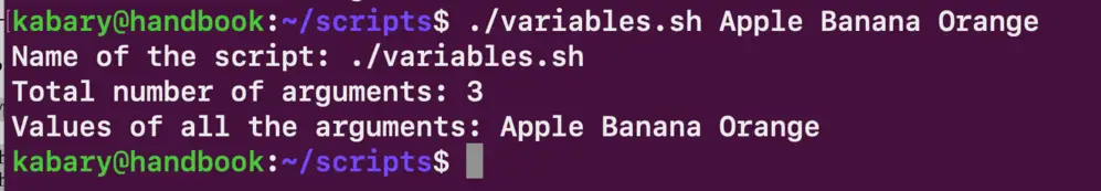 How To Pass Arguments To A Bash Shell Script