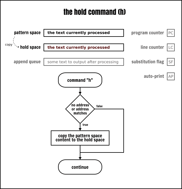 The Sed `hold` command