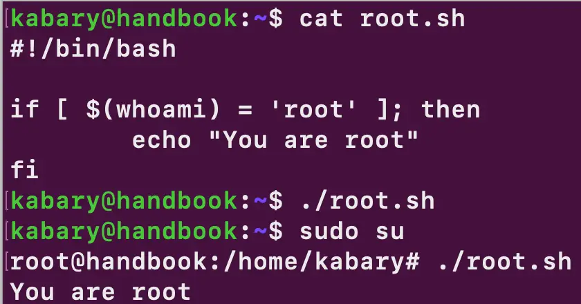 bash variable assignment in if