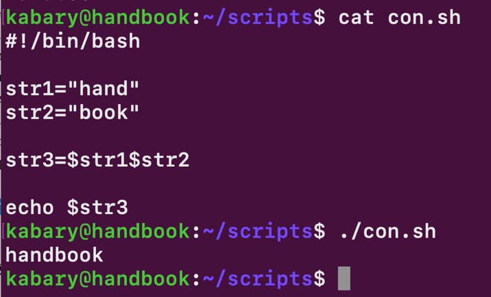 Concatenate strings in bash shell