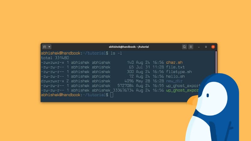 find file size linux terminal