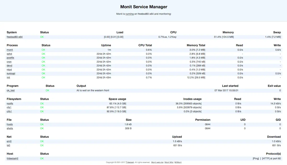 monit program service check