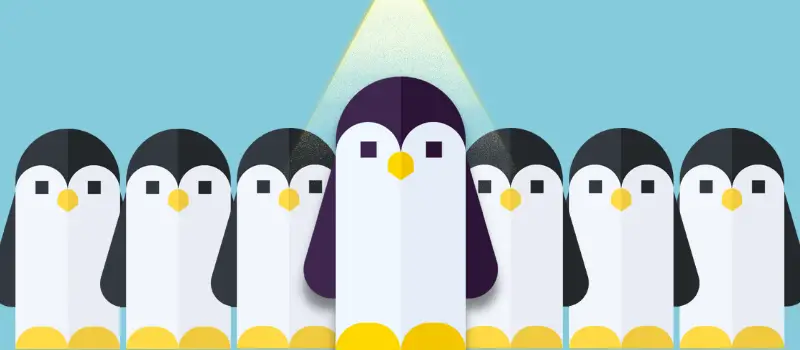 Linux Handbook Pro member