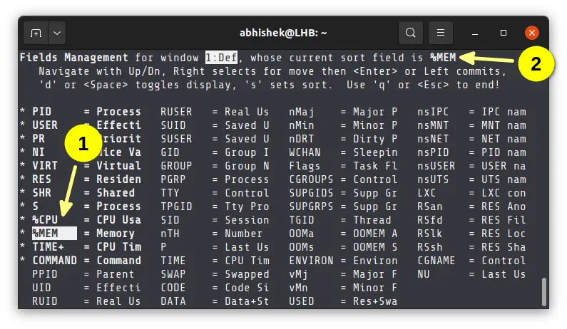 forlade undskyldning Svække How to Sort Top Command in Linux Based on Memory Usage