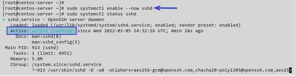 Verify that SSH service is running