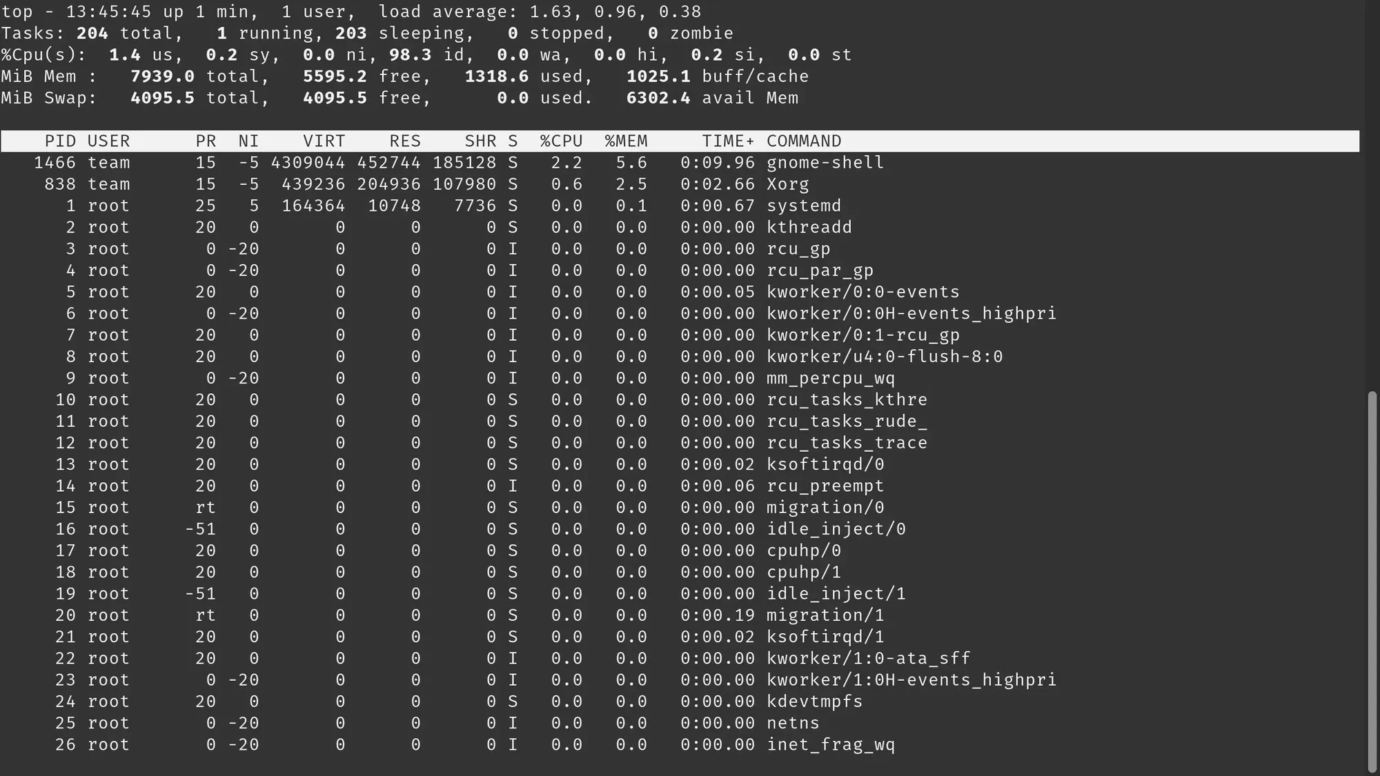 picture of top command running