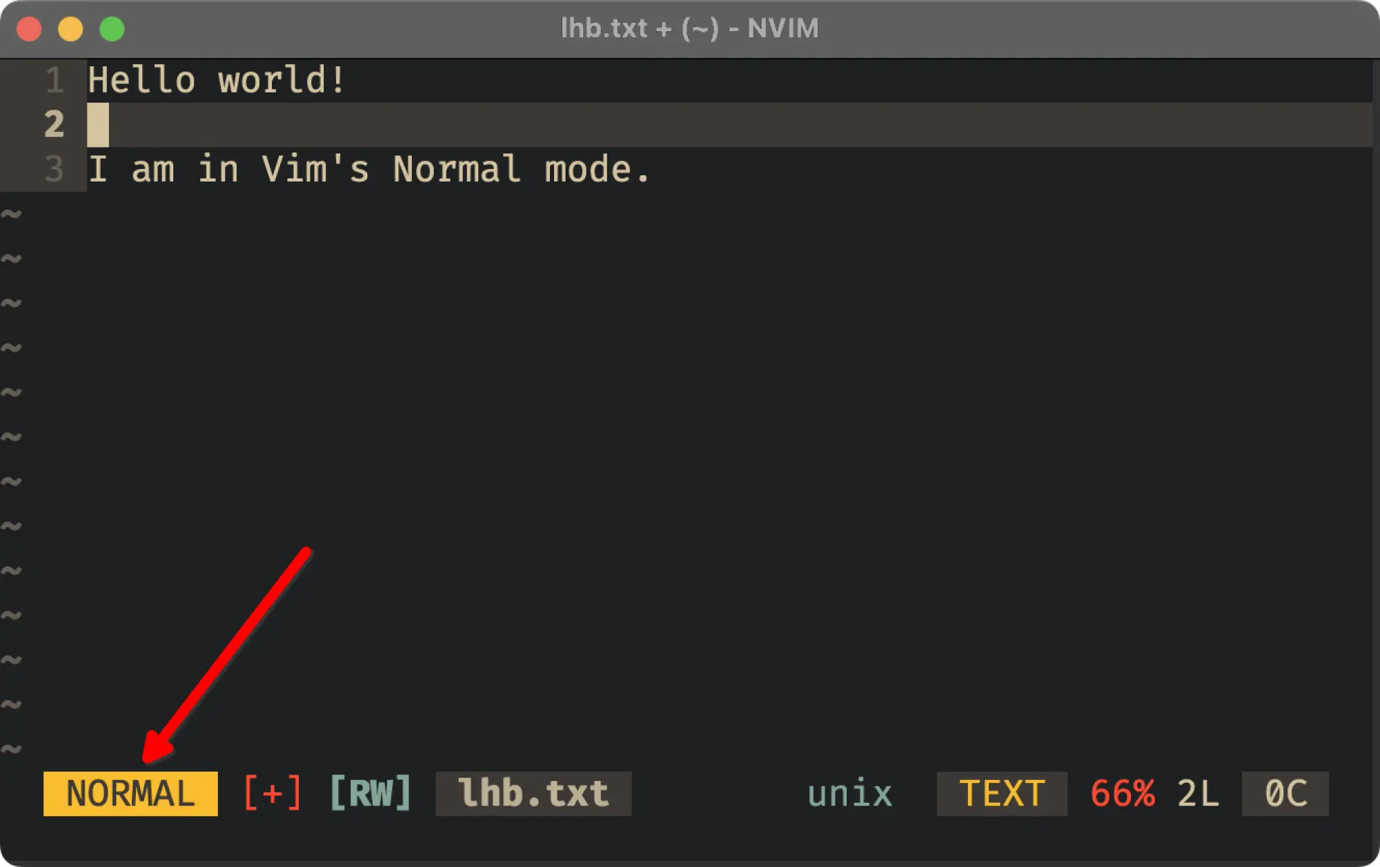 Vim what?