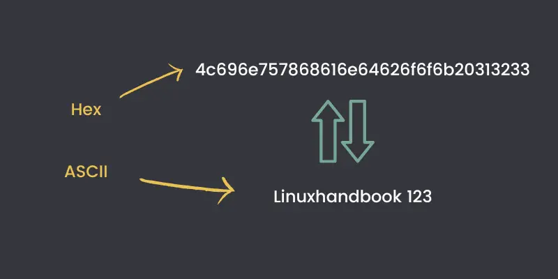 convert-hex-to-ascii-characters-in-linux-command-line-laptrinhx