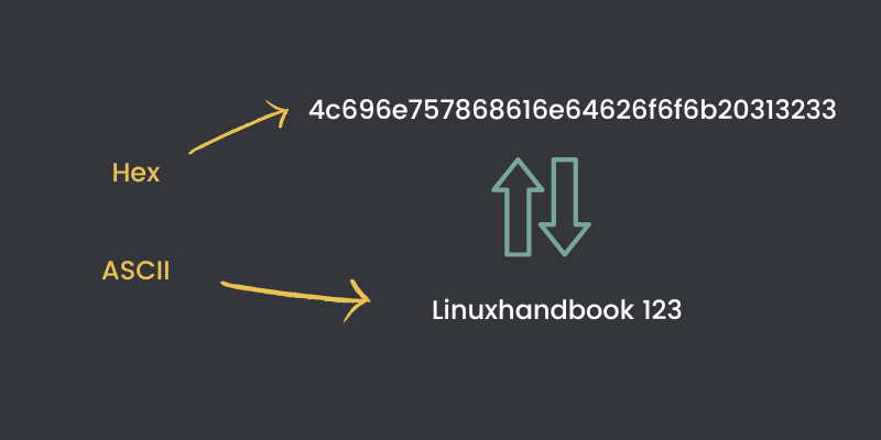 Convert Hex To ASCII Characters In Linux Bash Shell