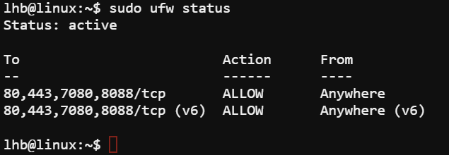 Check UFW firewall status