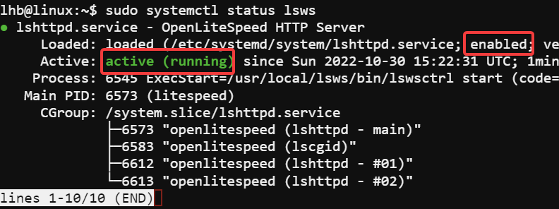 Check OpenLitespeedServer status