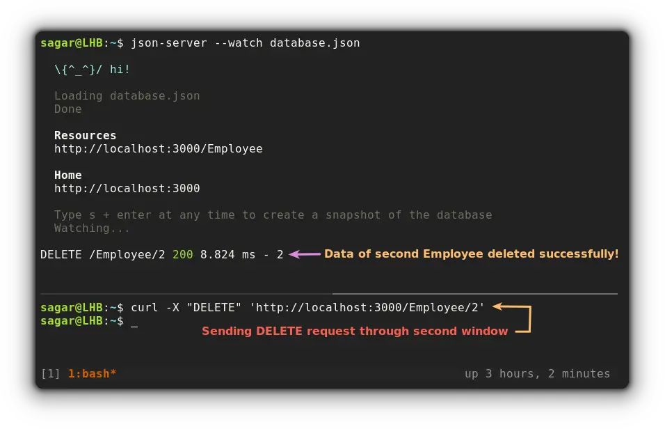How To Send A DELETE Request With Curl