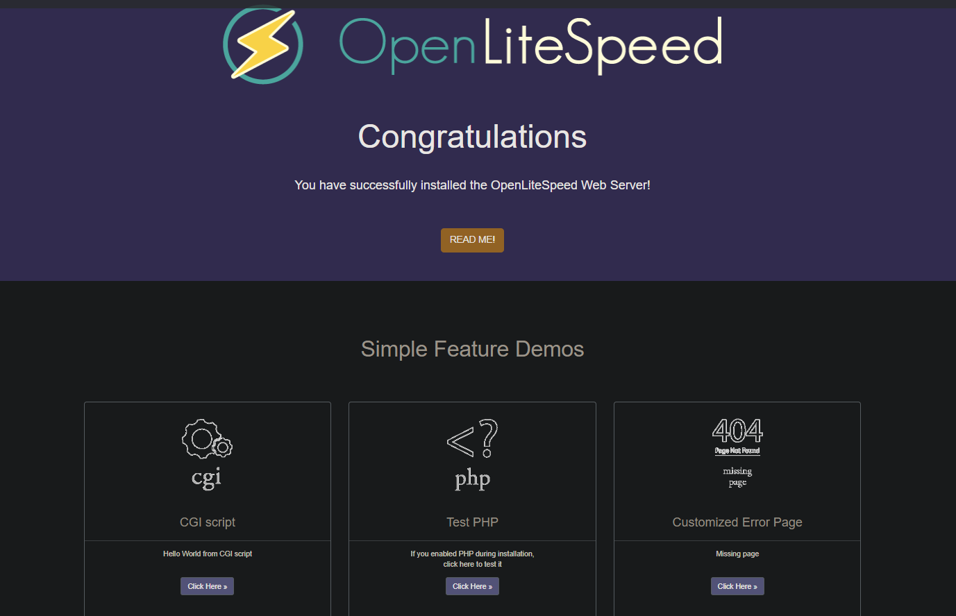 OpenLiteSpeed server web interface