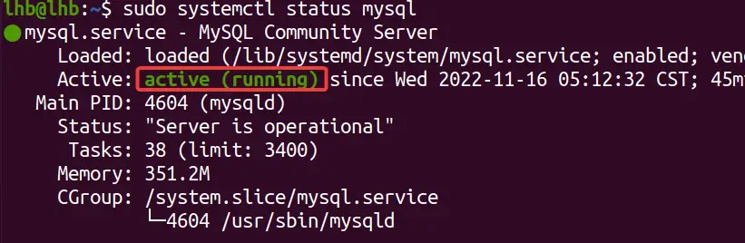 Enable MySQL on Ubuntu