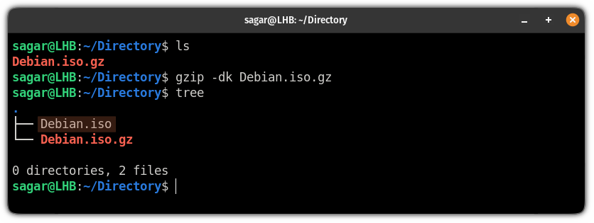 decompress files using the gzip command on linux