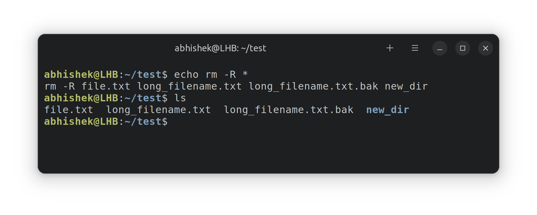 Using echo to test the output of commands without running it