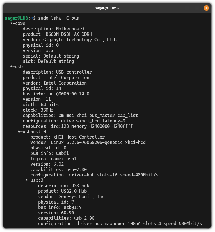 get the bus information of Linux using the lshw command