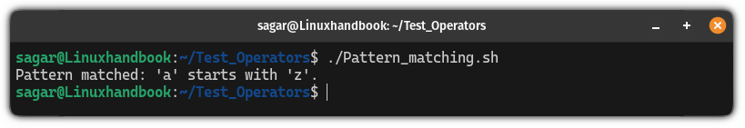Pattern matching using the == operator in bash