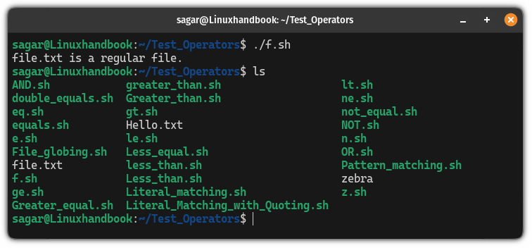 use -f operator in bash