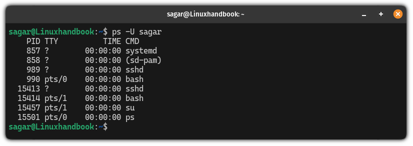 List processes belonged to a specific user using the ps command