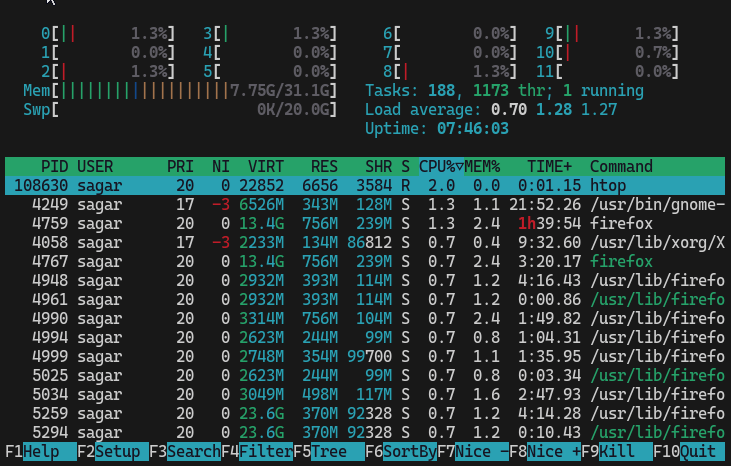 htop for system monitoring