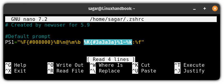 Add color to the working directory part in zsh