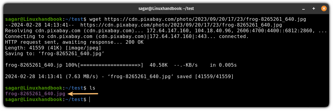 Download a file using the wget command