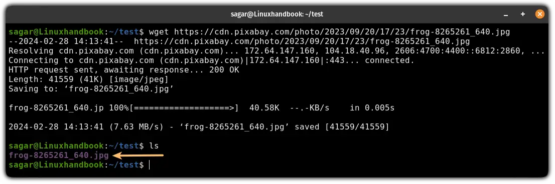 Download a file using the wget command