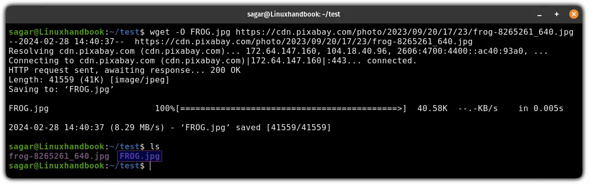 Save file with a custom filename using the wget command