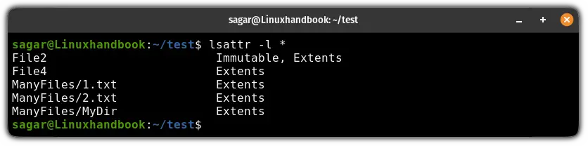 Show file attributes in long list format by using the lsattr command