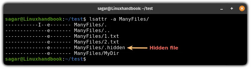 Show file attributes of the hidden files using the lsattr command