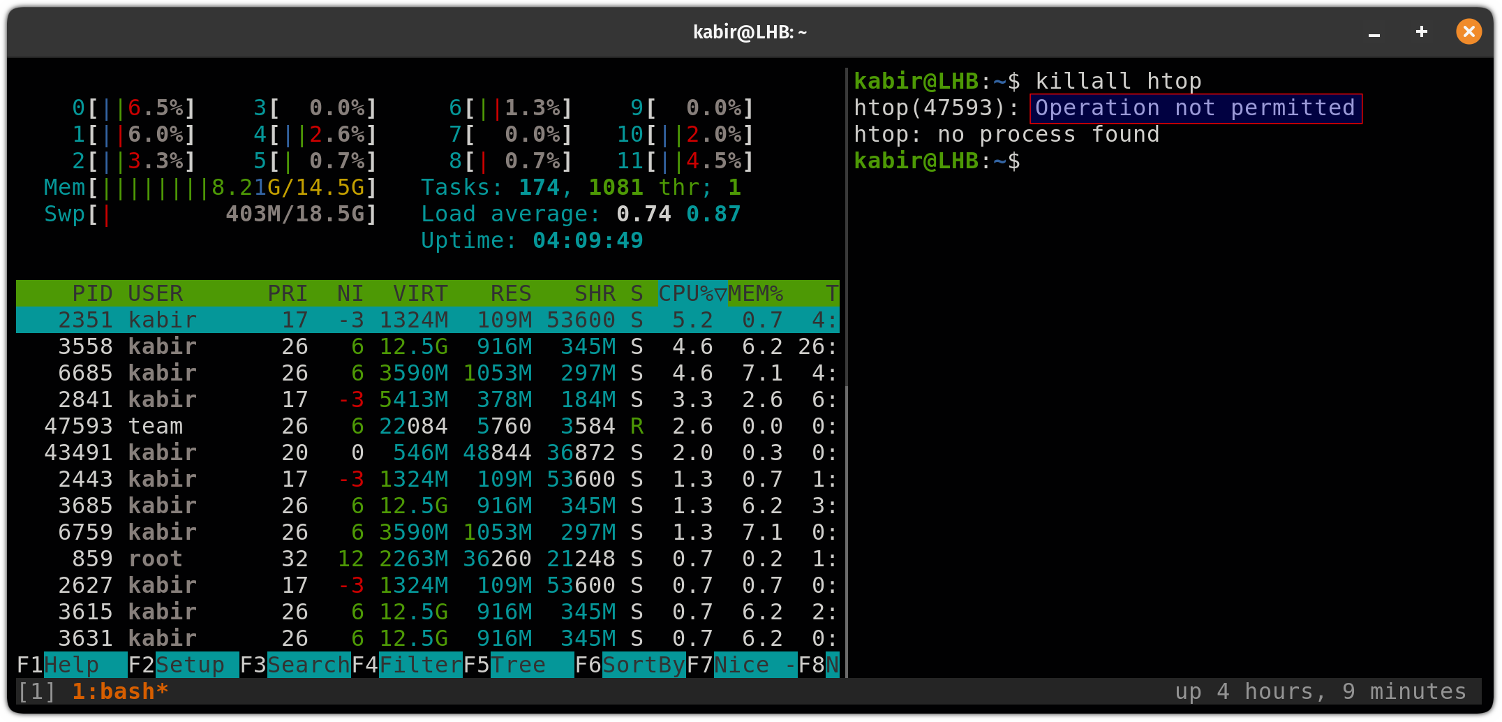 Unable to kill process owned by another user