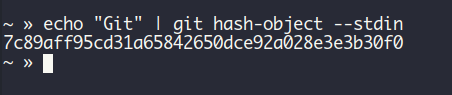 Checking the git hash of git word
