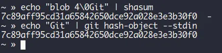 Shasum output same