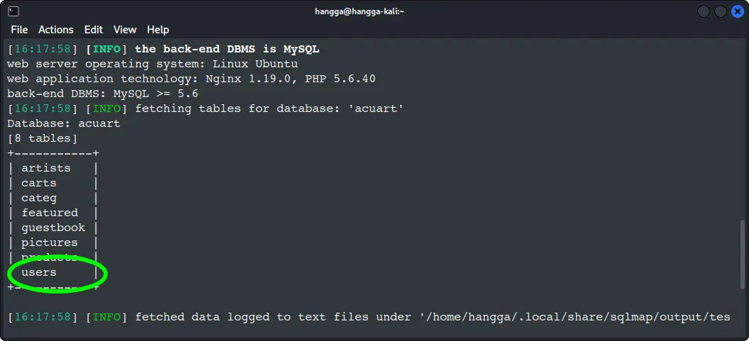 Check database tables with sqlmap