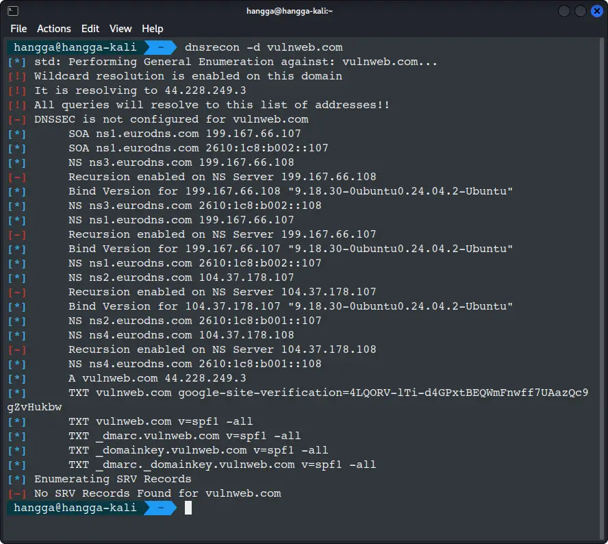 Standard DNS Record Enumeration
