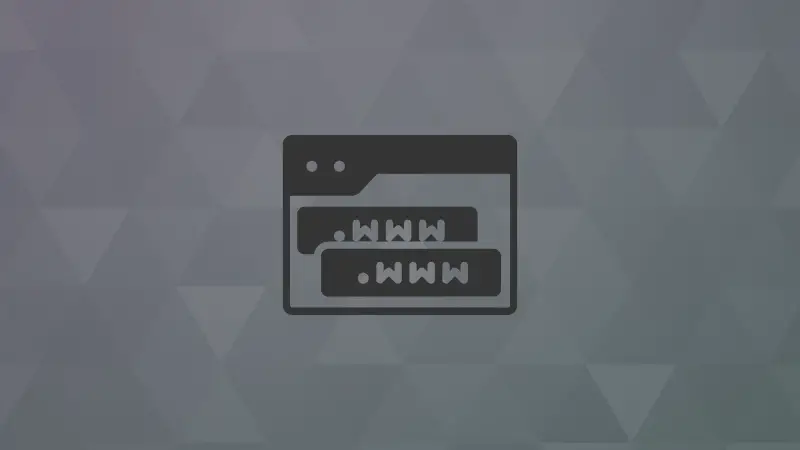 Find Subdomains Fast with OWASP Amass: Don't Miss Hidden Entry Points