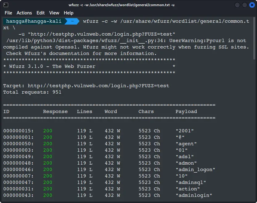 Parameter discovery with WFuzz wordlists