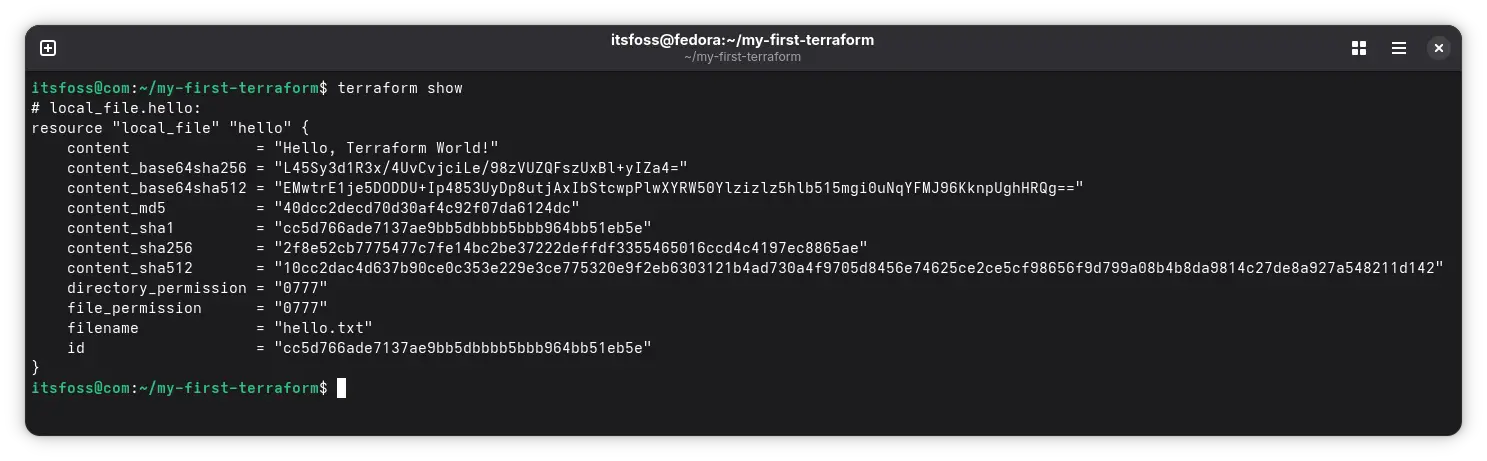 Terraform show command and its output