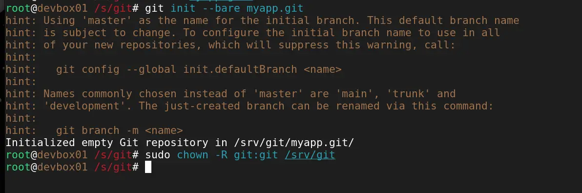 Screenshot of setting correct permissions for /srv/git to enable git push over SSH