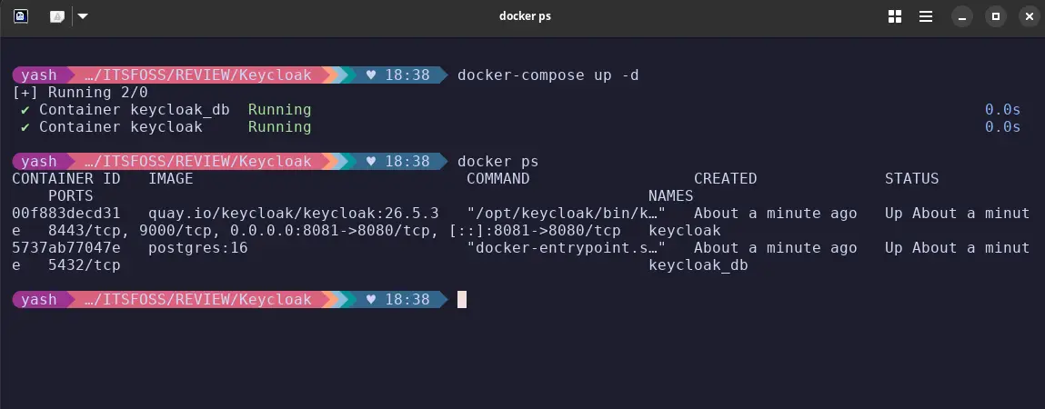 Keycloak running as a container.