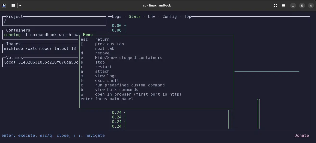 Lazydocker terminal command options