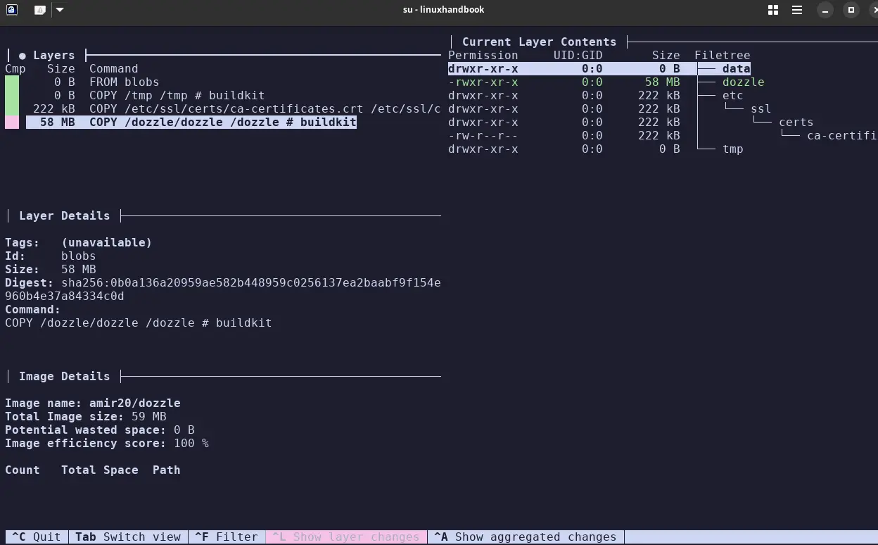 Dive showing image analysis in terminal.