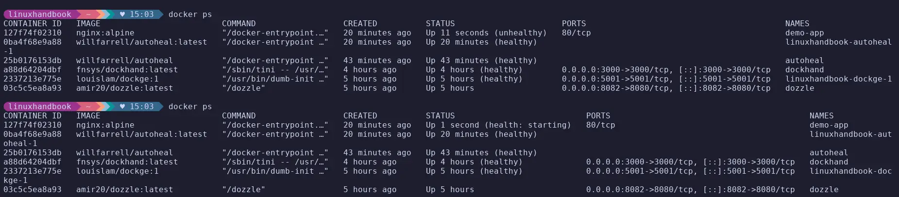 Docker Autoheal restarting unhealthy containers.