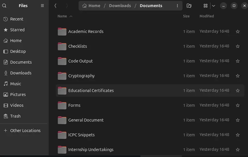 Documents folder containing categorized files