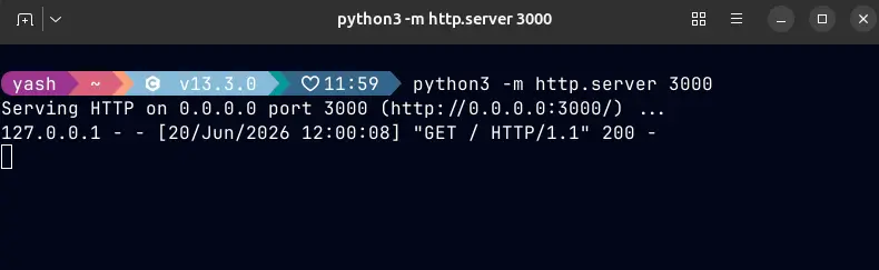 python server logs